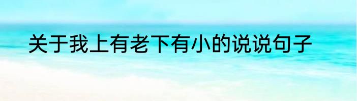 关于我上有老下有小的说说句子