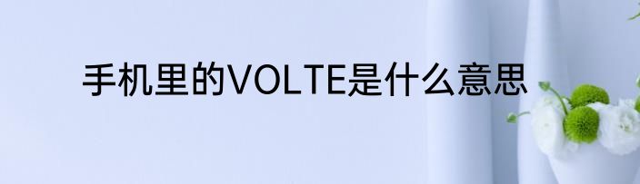 手机里的VOLTE是什么意思
