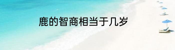 鹿的智商相当于几岁