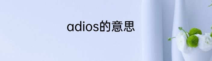 adios的意思