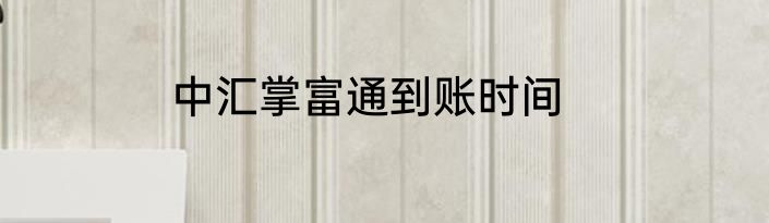 中汇掌富通到账时间
