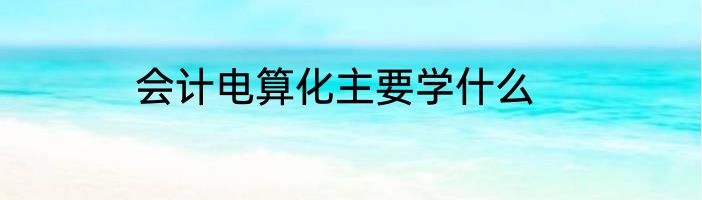 会计电算化主要学什么
