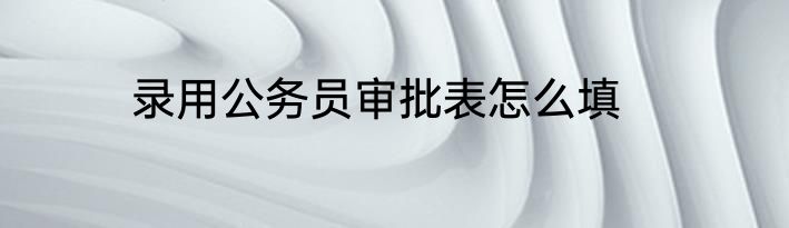 录用公务员审批表怎么填