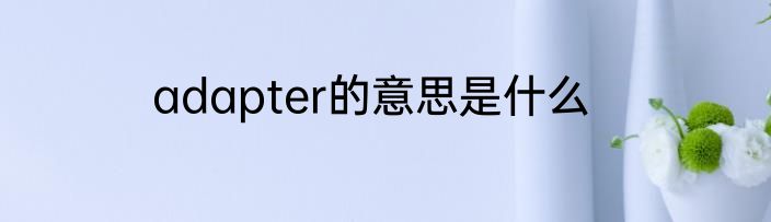 adapter的意思是什么