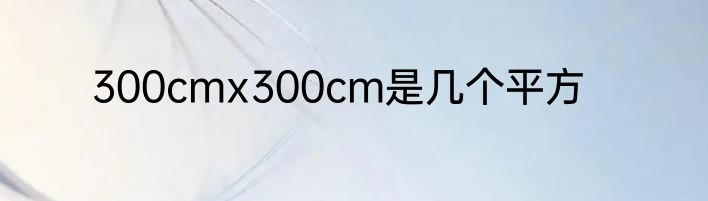 300cmx300cm是几个平方
