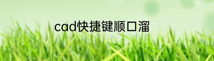 cad快捷键顺口溜