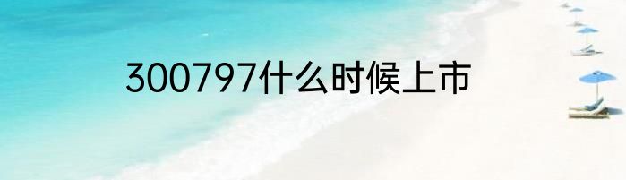 300797什么时候上市