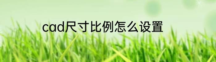 cad尺寸比例怎么设置