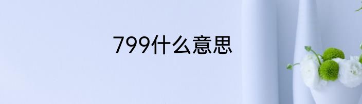 799什么意思