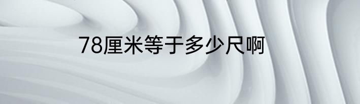 78厘米等于多少尺啊