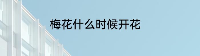 梅花什么时候开花