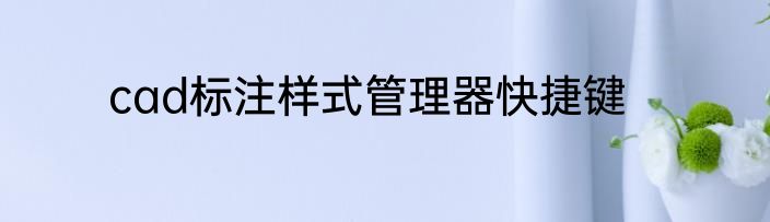 cad标注样式管理器快捷键