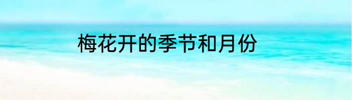 梅花开的季节和月份