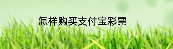 怎样购买支付宝彩票