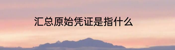 汇总原始凭证是指什么