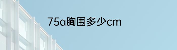 75a胸围多少cm