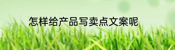 怎样给产品写卖点文案呢
