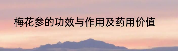 梅花参的功效与作用及药用价值