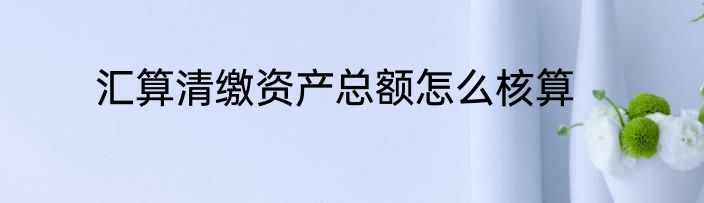 汇算清缴资产总额怎么核算
