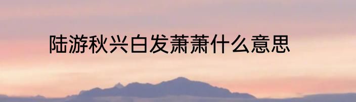 陆游秋兴白发萧萧什么意思