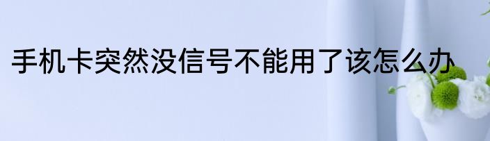 手机卡突然没信号不能用了该怎么办