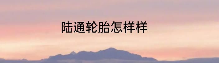 陆通轮胎怎样样