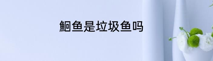 鮰鱼是垃圾鱼吗