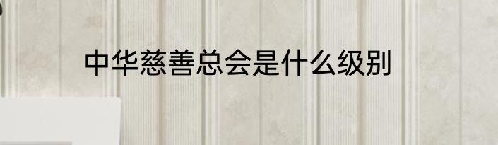 中华慈善总会是什么级别