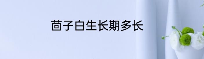 茴子白生长期多长