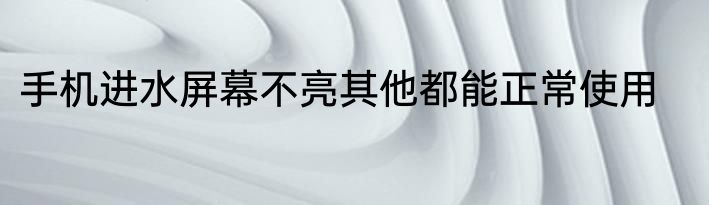 手机进水屏幕不亮其他都能正常使用