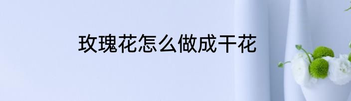 玫瑰花怎么做成干花