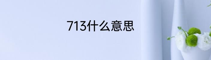 713什么意思