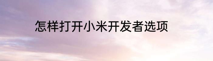 怎样打开小米开发者选项