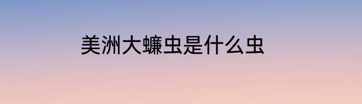 美洲大蠊虫是什么虫