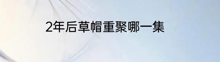 2年后草帽重聚哪一集
