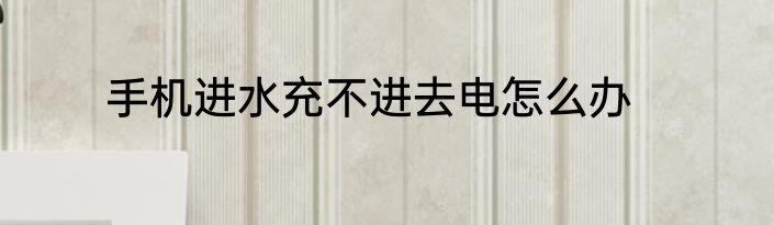 手机进水充不进去电怎么办