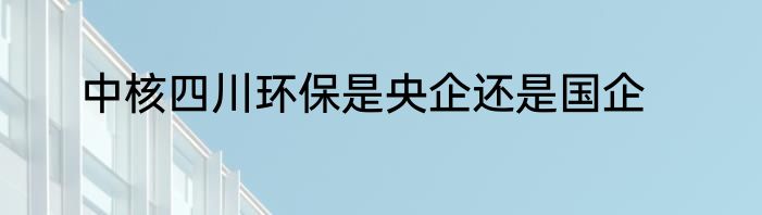 中核四川环保是央企还是国企