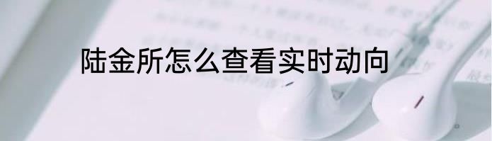 陆金所怎么查看实时动向