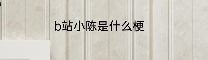 b站小陈是什么梗