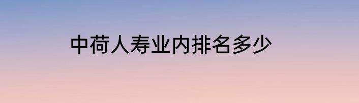 中荷人寿业内排名多少