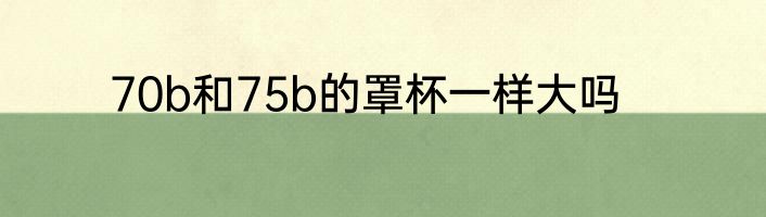 70b和75b的罩杯一样大吗