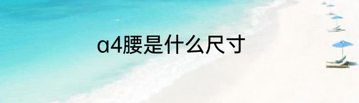 a4腰是什么尺寸
