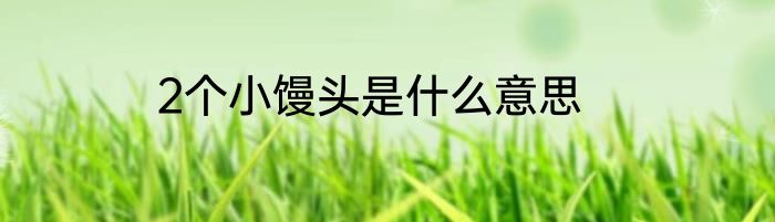 2个小馒头是什么意思