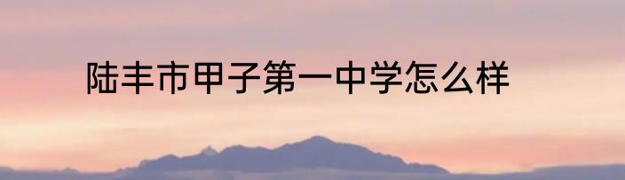 陆丰市甲子第一中学怎么样