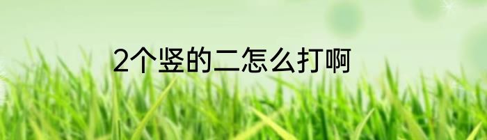 2个竖的二怎么打啊