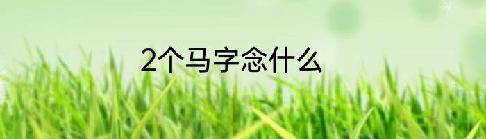 2个马字念什么