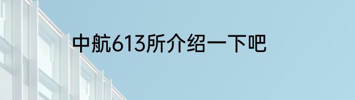 中航613所介绍一下吧