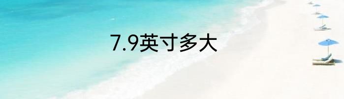 7.9英寸多大