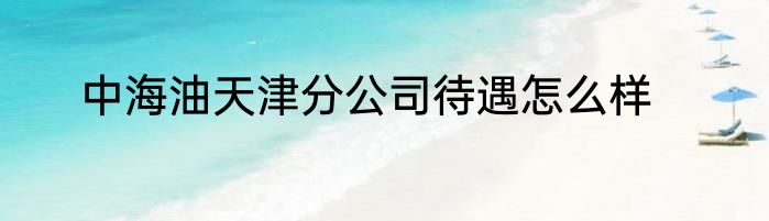 中海油天津分公司待遇怎么样