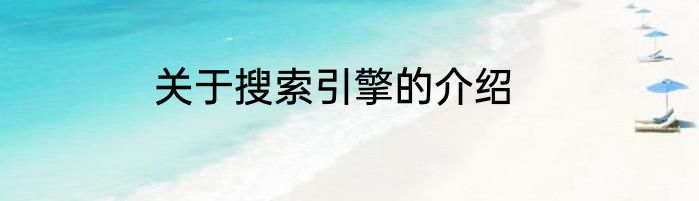 关于搜索引擎的介绍